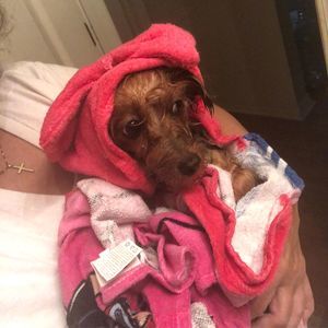 Meet your Posher, Nancy